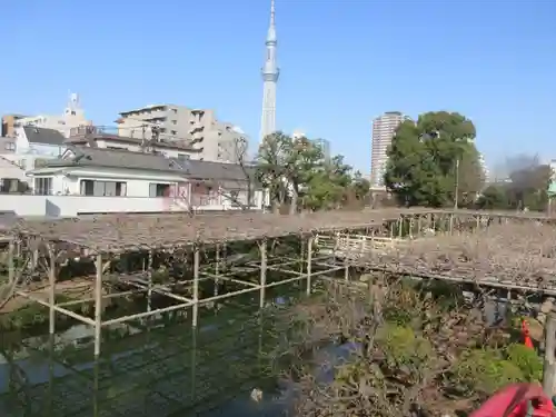 亀戸天神社の庭園