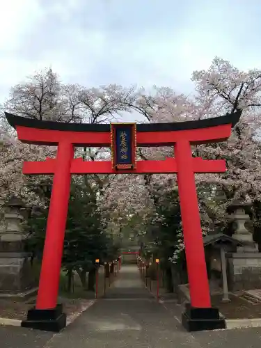 菅原神社の{uncategorized: "未分類", other: "その他", undefined: "問題あり", building: "その他建物", grave: "お墓", sacred_gate: "鳥居", guardian: "狛犬", statue: "像", buddha: "仏像", history: "歴史", nature: "自然", garden: "庭園", animal: "動物", pagoda: "塔", temizu: "手水舎", mountain_gate: "山門・神門", sanctuary: "本殿・本堂", subordinate: "末社・摂社", art: "芸術", scenery: "景色", jizo: "地蔵", ema: "絵馬", goshuin: "御朱印", omikuji: "おみくじ", items: "授与品その他", amulet: "お守り", goshuincho: "御朱印帳", eats: "食事", festival: "お祭り", votive_dance: "神楽", shichigosan: "七五三参", wedding: "結婚式", experience: "体験その他", initially: "初詣", around: "周辺", anti_infection: "感染症対策"}