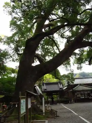 事任八幡宮の建物その他