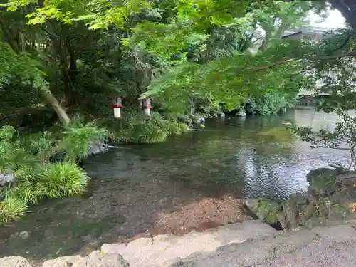 富士山本宮浅間大社(静岡県)