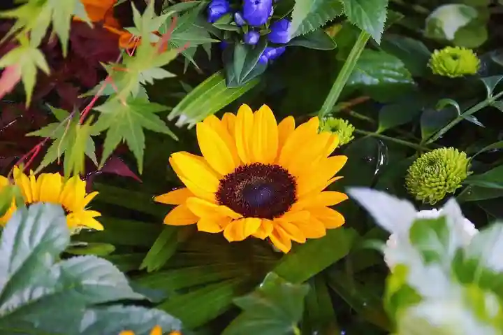 東海市熊野神社の手水舎