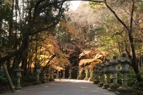 香取神宮(千葉県)
