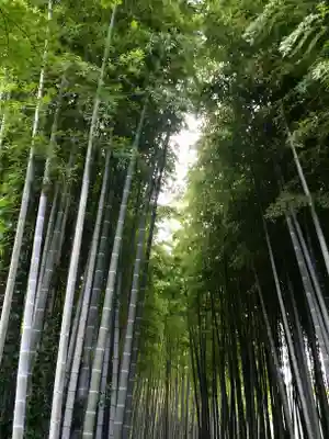 化野念仏寺の周辺