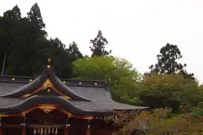 丹生川上神社（上社）(奈良県)