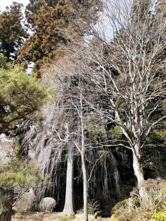 普門寺の{uncategorized: "未分類", other: "その他", undefined: "問題あり", building: "その他建物", grave: "お墓", sacred_gate: "鳥居", guardian: "狛犬", statue: "像", buddha: "仏像", history: "歴史", nature: "自然", garden: "庭園", animal: "動物", pagoda: "塔", temizu: "手水舎", mountain_gate: "山門・神門", sanctuary: "本殿・本堂", subordinate: "末社・摂社", art: "芸術", scenery: "景色", jizo: "地蔵", ema: "絵馬", goshuin: "御朱印", omikuji: "おみくじ", items: "授与品その他", amulet: "お守り", goshuincho: "御朱印帳", eats: "食事", festival: "お祭り", votive_dance: "神楽", shichigosan: "七五三参", wedding: "結婚式", experience: "体験その他", initially: "初詣", around: "周辺", anti_infection: "感染症対策"}