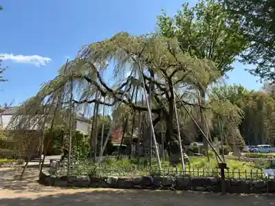 清瀧院(千葉県)