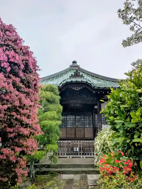 収玄寺の{uncategorized: "未分類", other: "その他", undefined: "問題あり", building: "その他建物", grave: "お墓", sacred_gate: "鳥居", guardian: "狛犬", statue: "像", buddha: "仏像", history: "歴史", nature: "自然", garden: "庭園", animal: "動物", pagoda: "塔", temizu: "手水舎", mountain_gate: "山門・神門", sanctuary: "本殿・本堂", subordinate: "末社・摂社", art: "芸術", scenery: "景色", jizo: "地蔵", ema: "絵馬", goshuin: "御朱印", omikuji: "おみくじ", items: "授与品その他", amulet: "お守り", goshuincho: "御朱印帳", eats: "食事", festival: "お祭り", votive_dance: "神楽", shichigosan: "七五三参", wedding: "結婚式", experience: "体験その他", initially: "初詣", around: "周辺", anti_infection: "感染症対策"}
