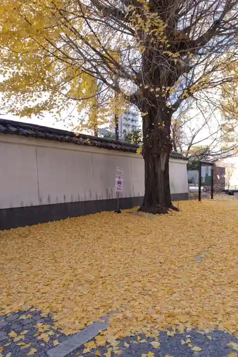 本法寺(京都府)