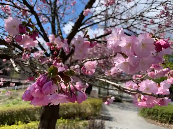 滑川神社 - 仕事と子どもの守り神の自然