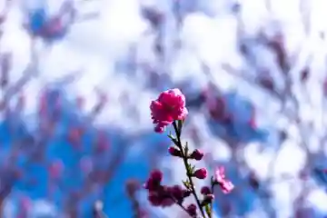 水神(長野県)