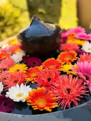 神楽坂安養寺(東京都)