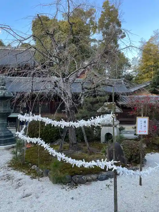 今宮神社(京都府)