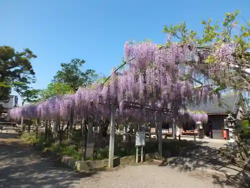 三大神社のその他建物