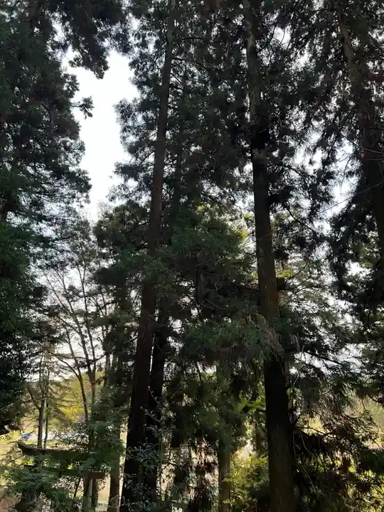 大宮温泉神社(栃木県)