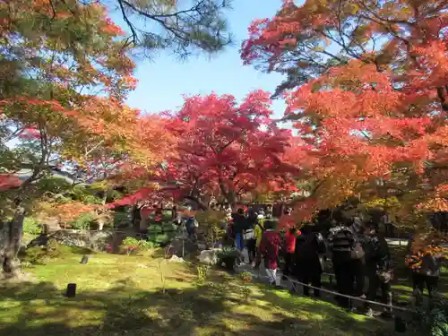 宝厳院の庭園