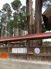 鹿嶋三嶋神社の自然