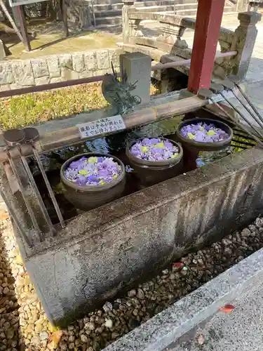 津島神社の手水舎
