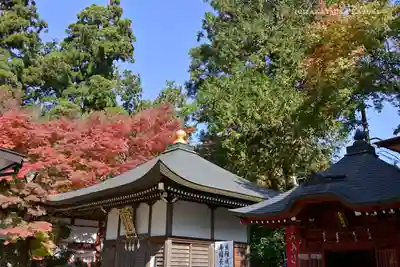 高尾山薬王院の本殿・本堂