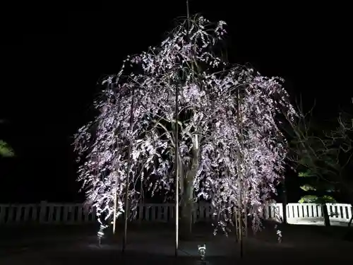 浅間神社の景色