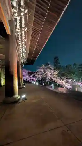 知恩院(京都府)