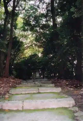 東福禅寺（東福寺）のその他建物