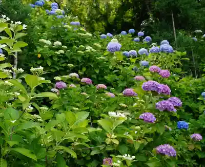 善峯寺(京都府)
