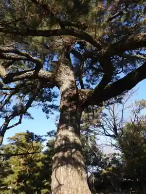 実相寺(愛知県)