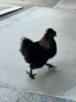 石上神宮(奈良県)