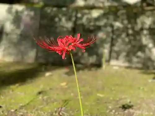 伊勢の国 四天王寺の自然