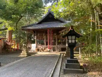 彌伽宜神社(京都府)
