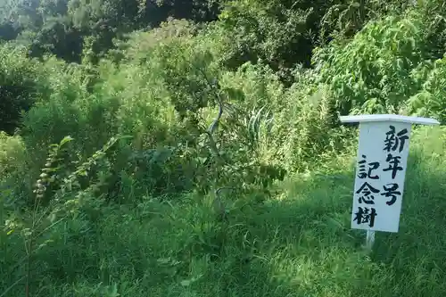 思金神社の自然