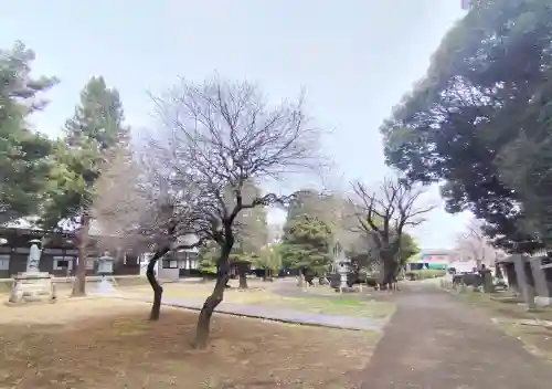 南蔵院の{uncategorized: "未分類", other: "その他", undefined: "問題あり", building: "その他建物", grave: "お墓", sacred_gate: "鳥居", guardian: "狛犬", statue: "像", buddha: "仏像", history: "歴史", nature: "自然", garden: "庭園", animal: "動物", pagoda: "塔", temizu: "手水舎", mountain_gate: "山門・神門", sanctuary: "本殿・本堂", subordinate: "末社・摂社", art: "芸術", scenery: "景色", jizo: "地蔵", ema: "絵馬", goshuin: "御朱印", omikuji: "おみくじ", items: "授与品その他", amulet: "お守り", goshuincho: "御朱印帳", eats: "食事", festival: "お祭り", votive_dance: "神楽", shichigosan: "七五三参", wedding: "結婚式", experience: "体験その他", initially: "初詣", around: "周辺", anti_infection: "感染症対策"}