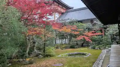 本法寺(京都府)