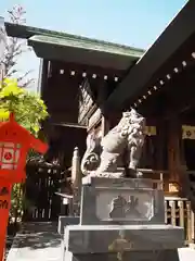 蔵前神社の狛犬