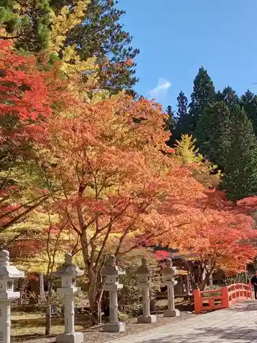 高野山金剛峯寺奥の院の景色