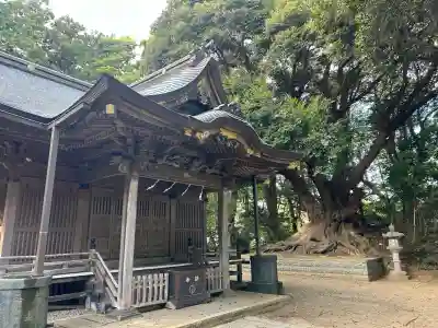 諏訪神社(千葉県)