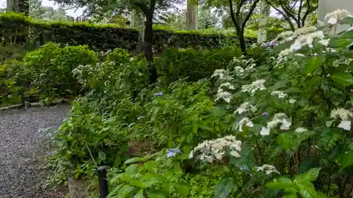 真正極楽寺（真如堂）(京都府)