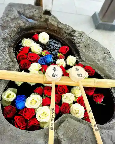 津島神社(宮城県)