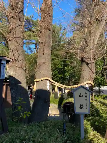 櫻木神社(千葉県)