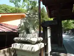 常安寺の狛犬