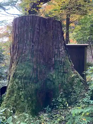 貴船神社の庭園