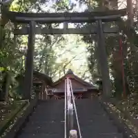 倉岡神社の鳥居