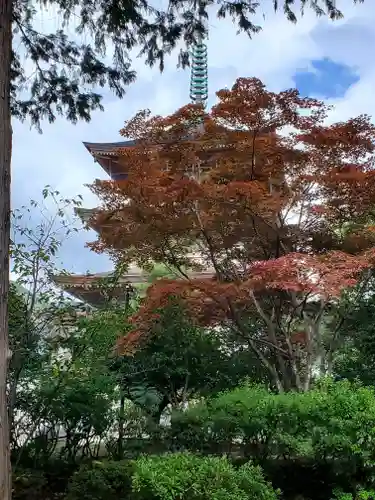 善光寺のその他建物