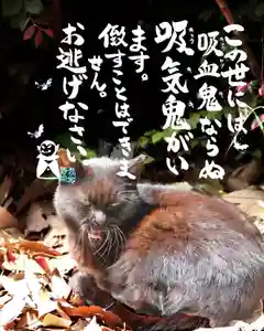 専念寺(大阪府)(2022年10月29日(土) 20時13分47秒投稿)