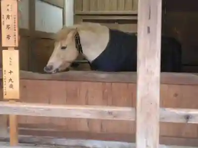 金刀比羅宮(香川県)