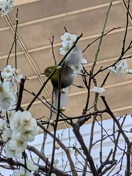 繁榮稲荷神社(東京都)