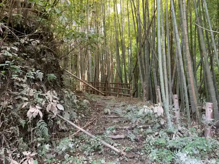 松尾神社の自然