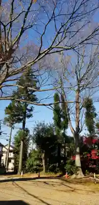 国府台天満宮の自然