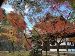 井山 宝福寺(岡山県)