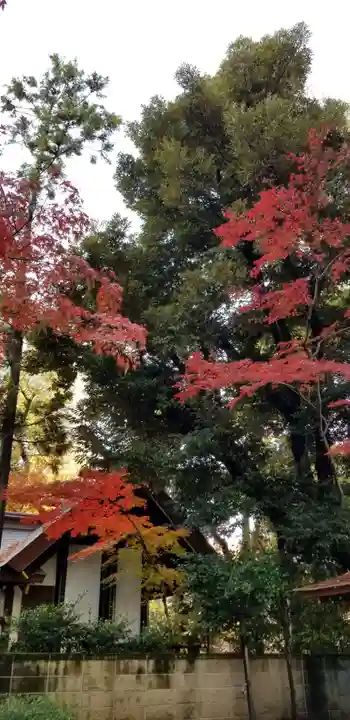 愛宕神社の自然